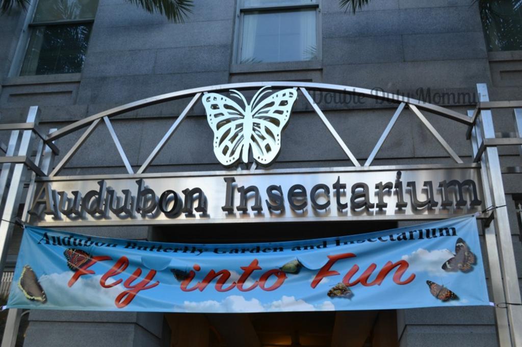 La Galerie French Quarter Hotel New Orleans Exterior photo